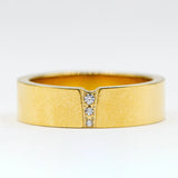 حلقة فولاذية مضمونة مقاومة للصدأ حلقة فولاذية مضمونة مقاومة للصدأ