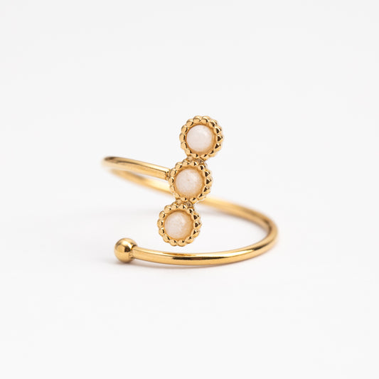 Bague en acier inoxydable garantie - Taille standard