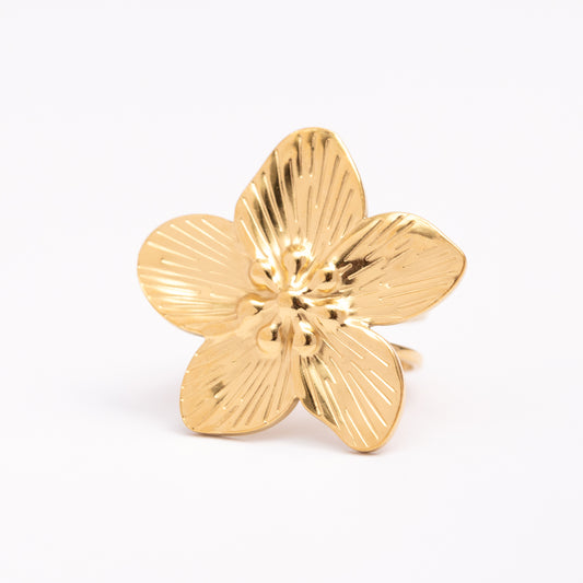 Bague en acier inoxydable garantie, en promotion