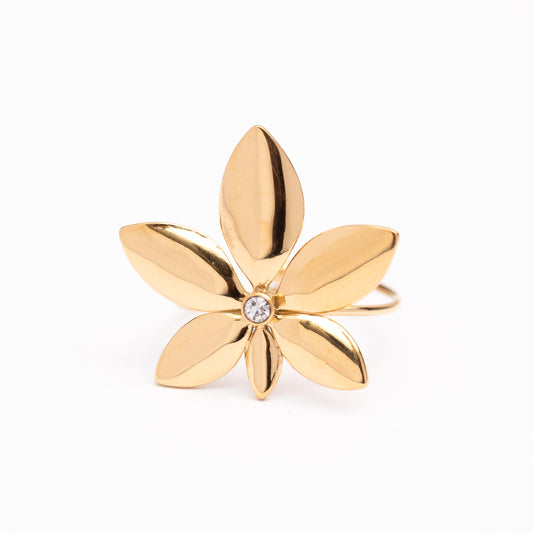 Bague en acier inoxydable garantie, en promotion