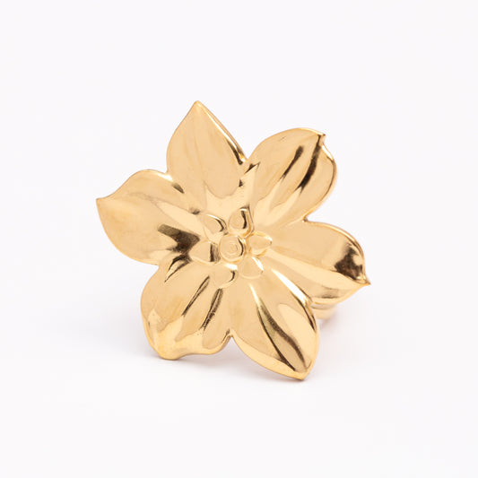 Bague en acier inoxydable garantie, en promotion