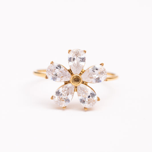 Bague en acier inoxydable garantie, en promotion