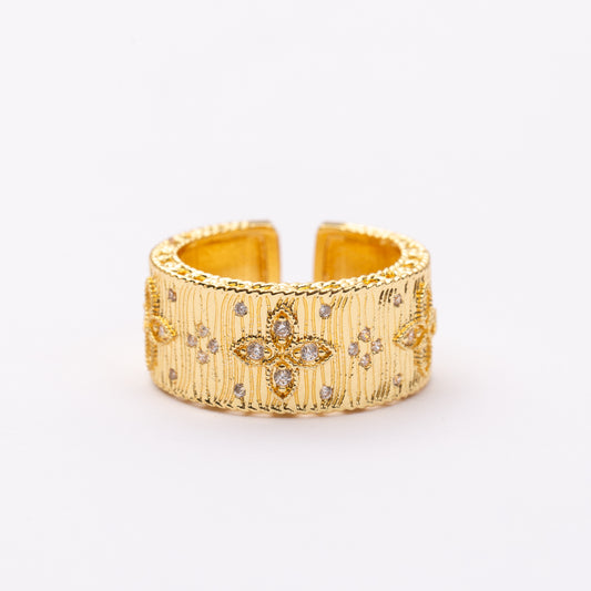 Bague Roberto En acier inoxydable garanti