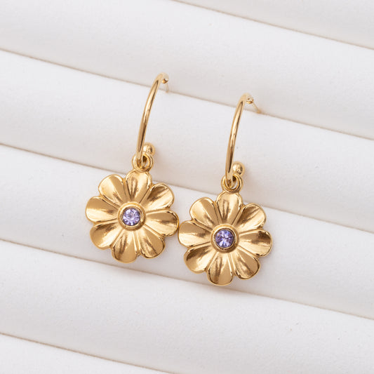 Boucles d'oreilles en acier inoxydable garanties