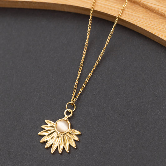 Collier en acier inoxydable garanti