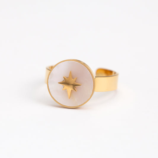 Bague en acier inoxydable garantie - Taille standard