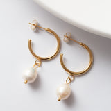 Boucles d'oreille Acier tendance