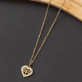 Collier NIRA en acier inoxydable garanti