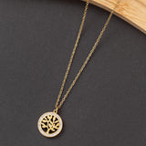 Collier BRILLA en acier inoxydable garanti