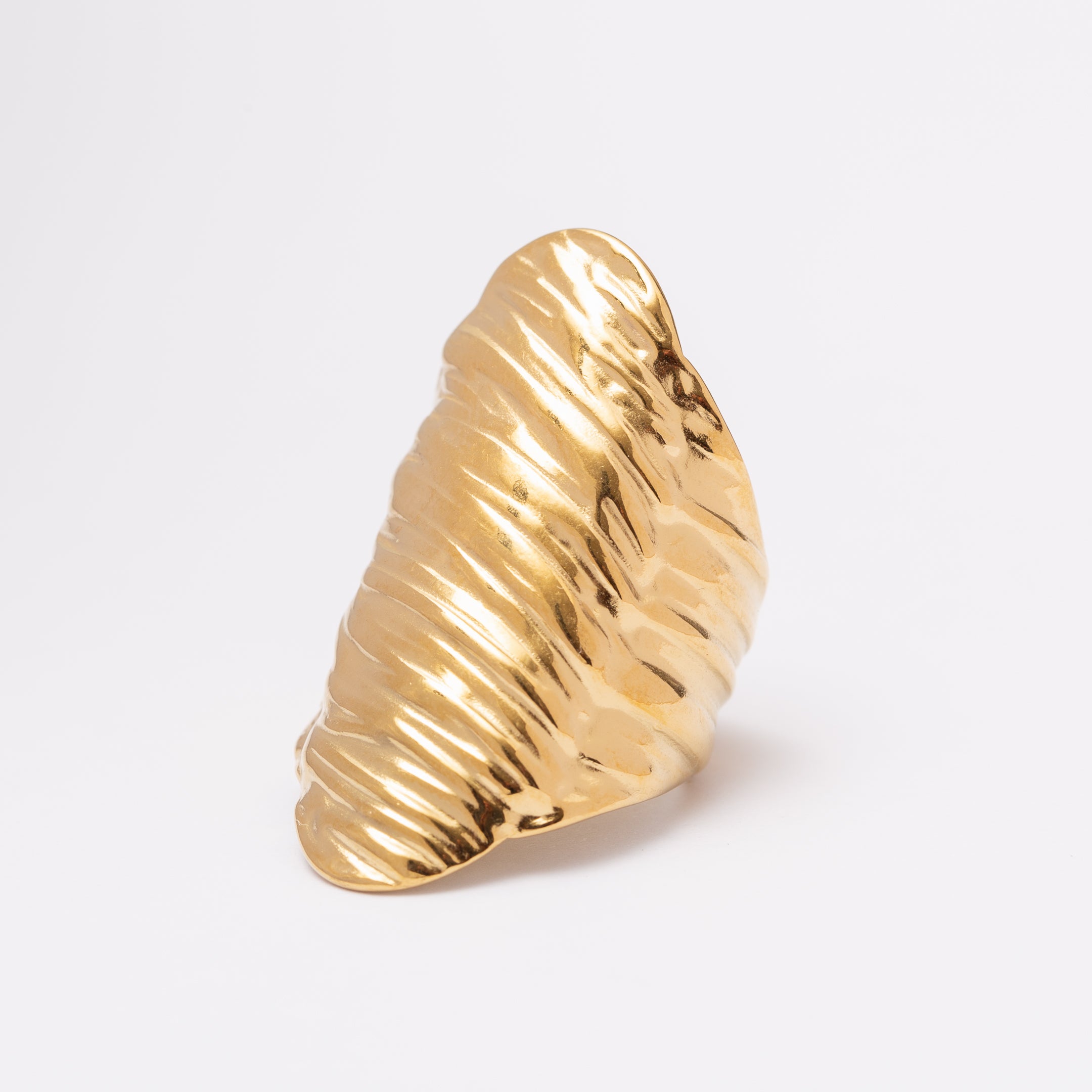 Bague en acier inoxydable garantie