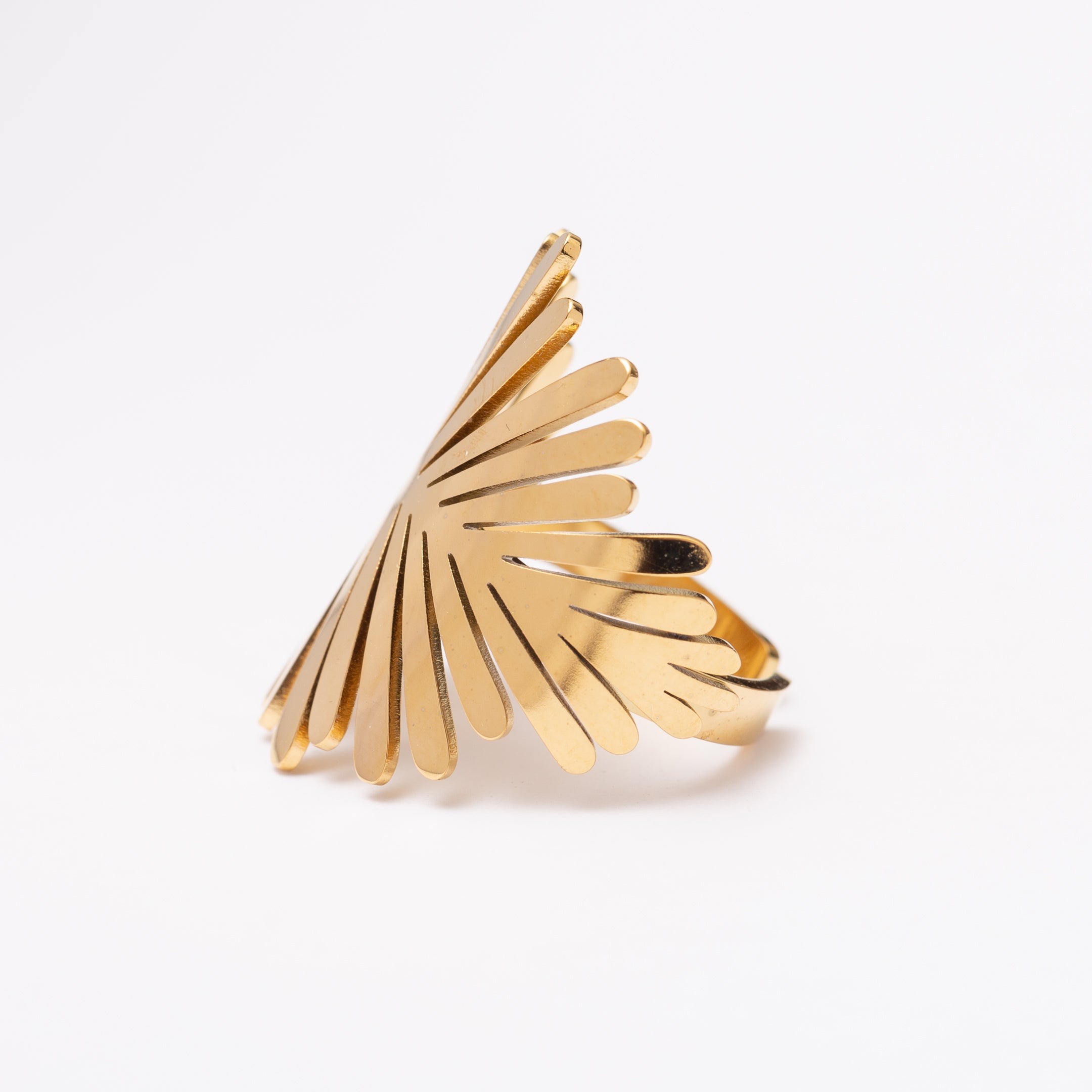 Bague en acier inoxydable garantie