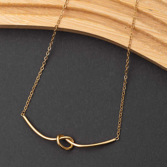 Collier Élite en acier inoxydable garanti