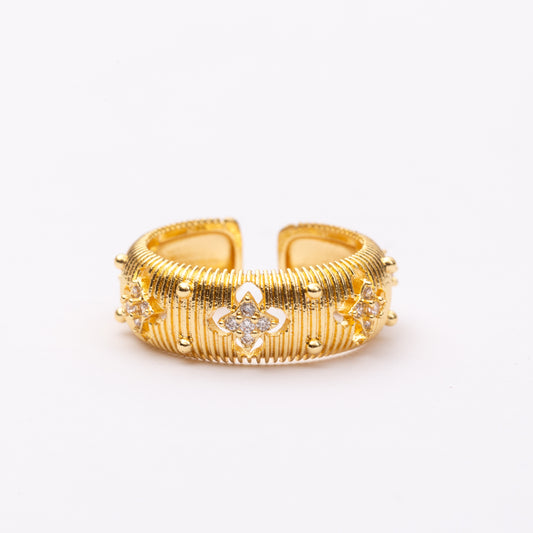 Bague Roberto En acier inoxydable garanti