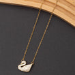 Collier SWAN en acier inoxydable garanti