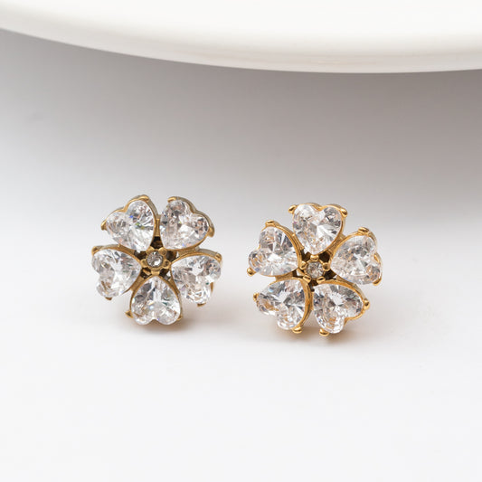 Boucles d'oreilles en acier