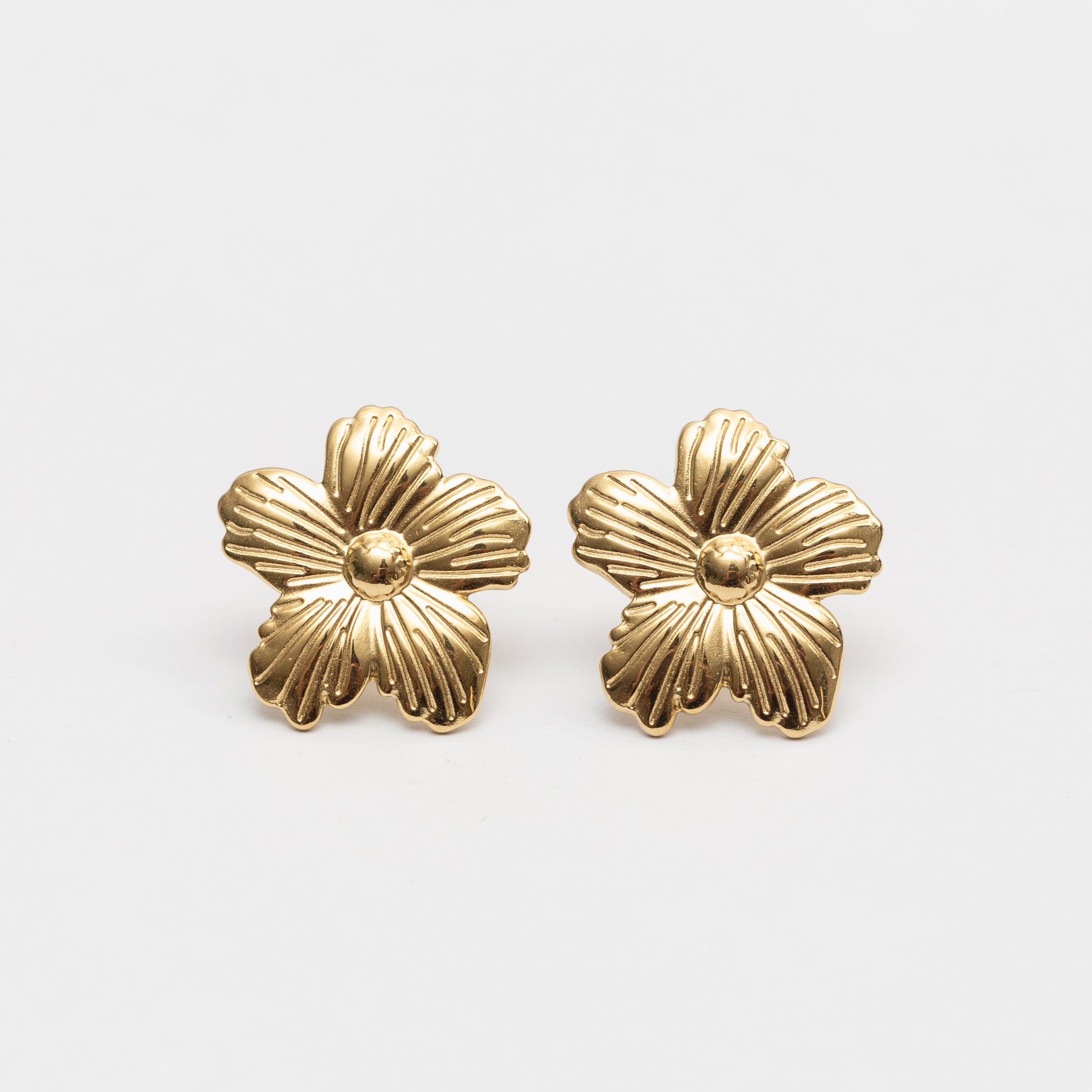 Boucles d'oreilles en acier