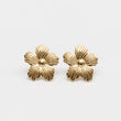 Boucles d'oreilles en acier