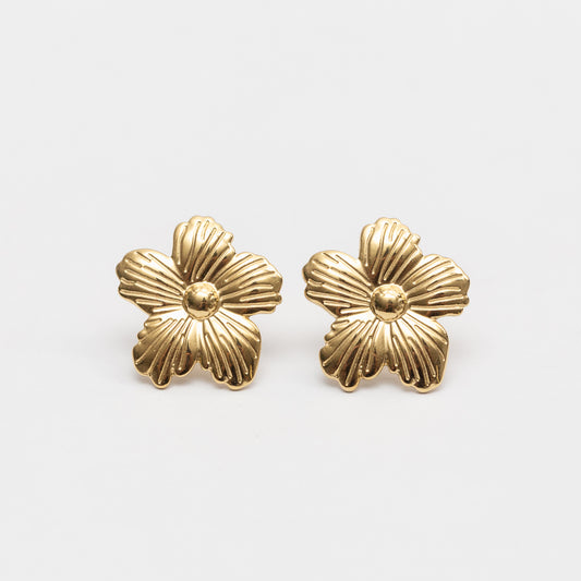 Boucles d'oreilles en acier