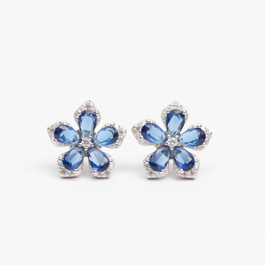 Boucles d'oreilles en argent