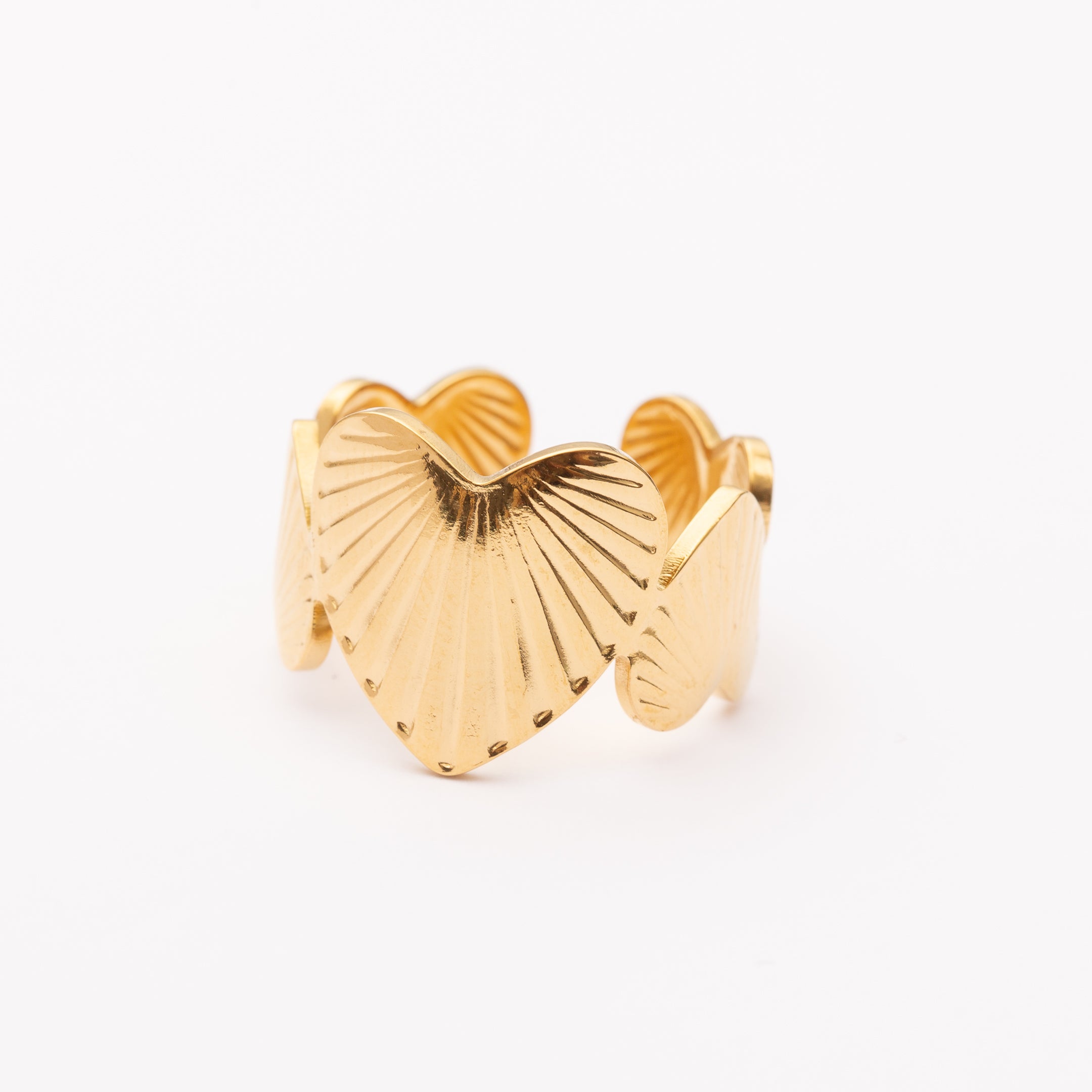 Bague en acier inoxydable garantie