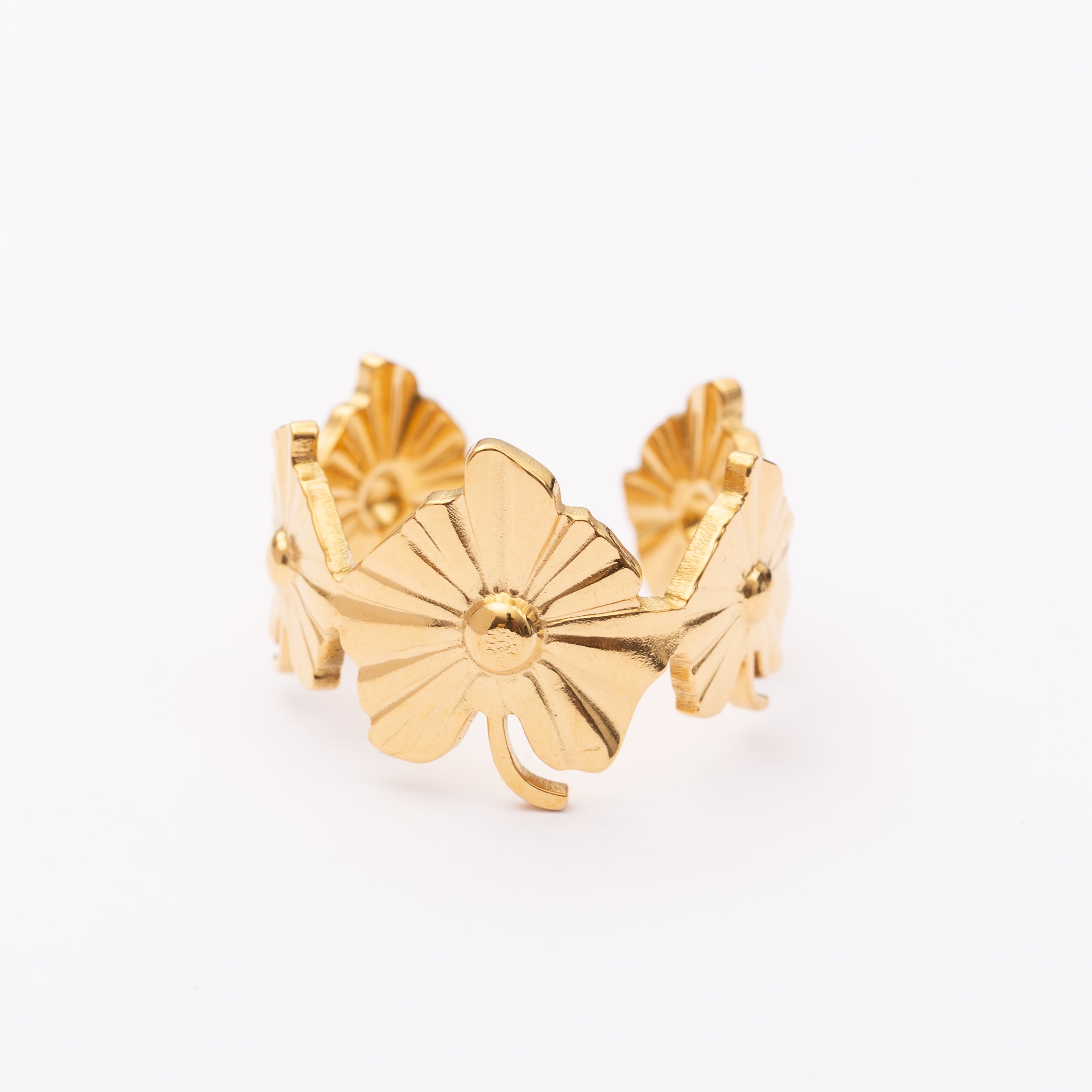 Bague en acier inoxydable garantie