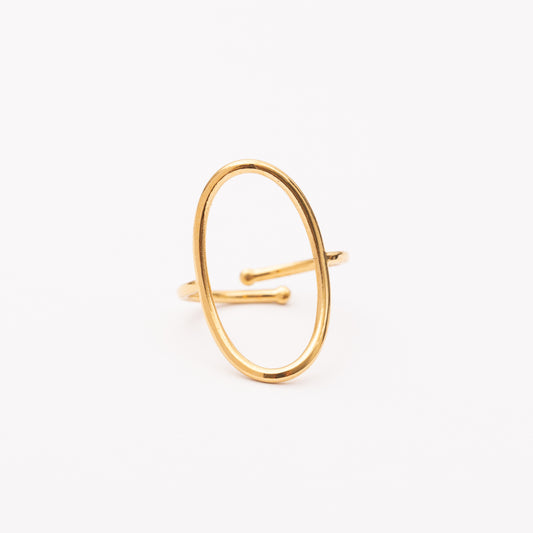 Bague en acier inoxydable garantie