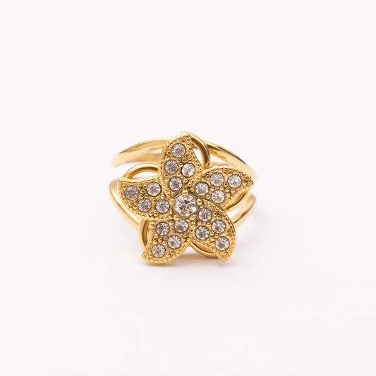 Bague en acier inoxydable garantie