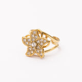 Bague en acier inoxydable garantie