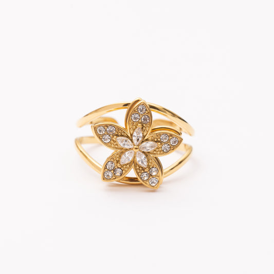 Bague en acier inoxydable garantie