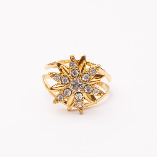 Bague en acier inoxydable garantie