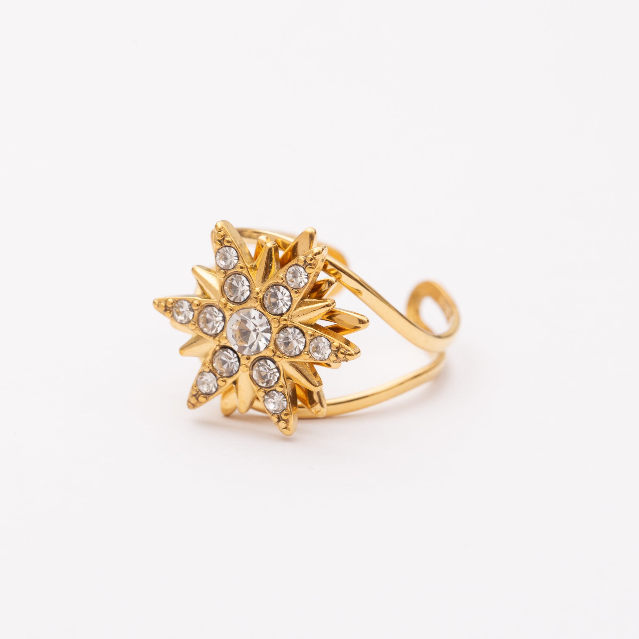 Bague en acier inoxydable garantie