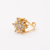 Bague en acier inoxydable garantie