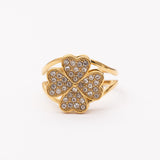 Bague en acier inoxydable garantie
