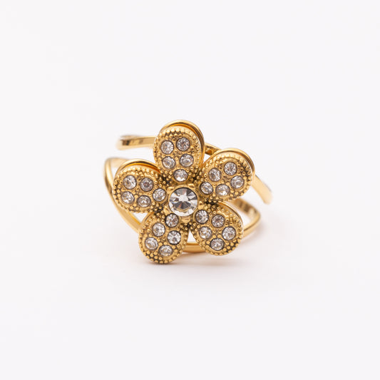 Bague en acier inoxydable garantie