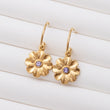 Boucles d'oreilles en acier inoxydable garanties