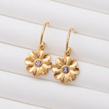 Boucles d'oreilles en acier inoxydable garanties