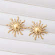 Boucles d'oreilles en acier inoxydable garanties