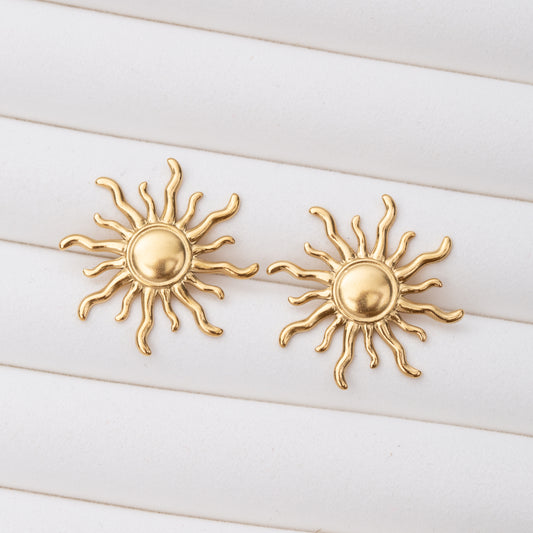 Boucles d'oreilles en acier inoxydable garanties